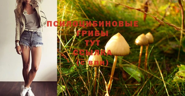 эйфоретик Баксан