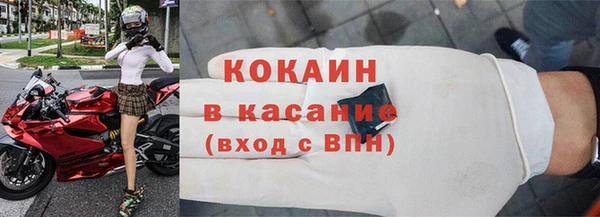 прущие грибы Новодвинск