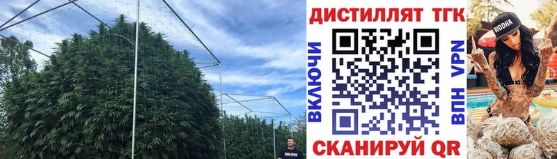 ТГК жижа  дарнет шоп  Соль-Илецк 