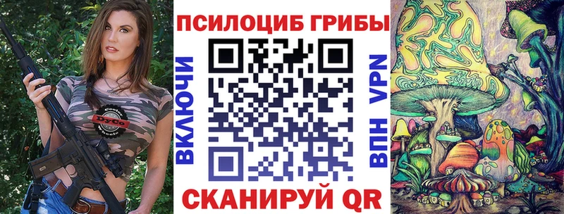 кракен как войти  как найти наркотики  Соль-Илецк  Псилоцибиновые грибы мицелий 